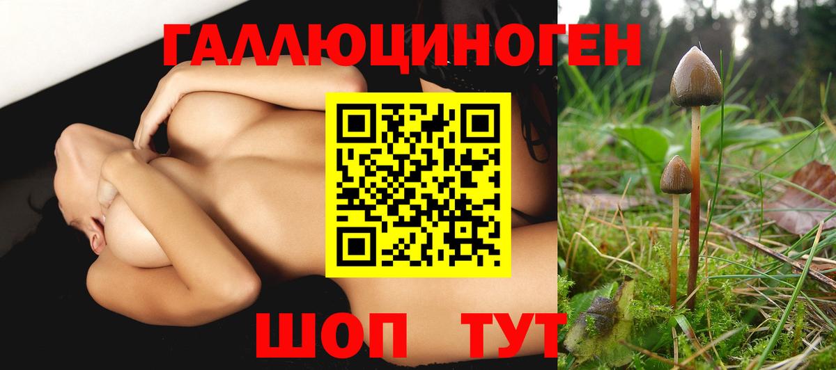 Каменск-Уральский  Галлюциногенные грибы MAGIC MUSHROOMS  Псилоцибиновые грибы Psilocybe  Вход с VPN 