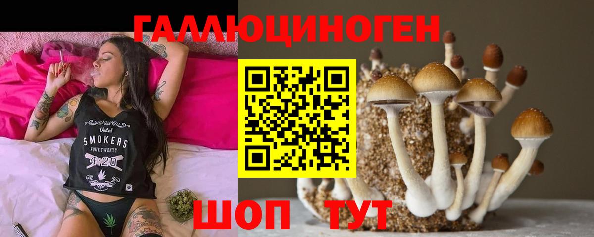 Псилоцибиновые грибы GOLDEN TEACHER Каменск-Уральский